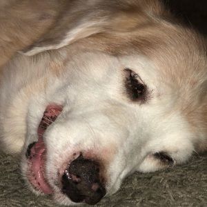 Meet your Posher, Timothy